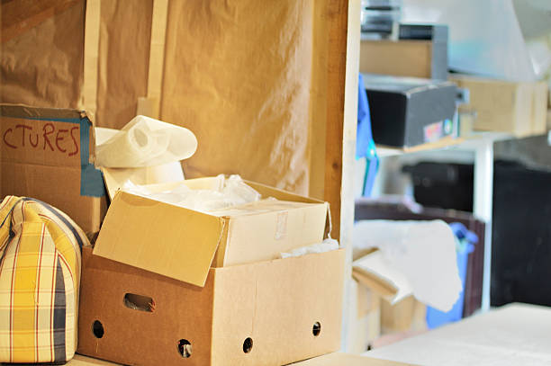 Best Hoarding Cleanup  in Cannon Falls, MN