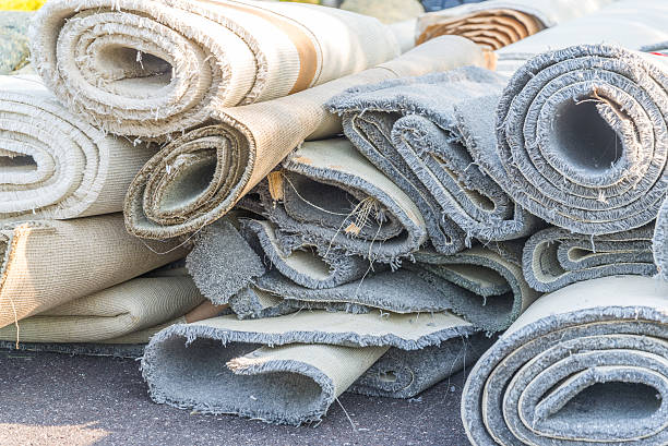 Best Basement Cleanout  in Cannon Falls, MN